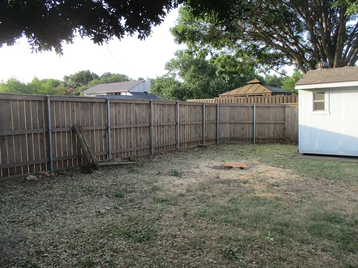 Cleared yard after professional tree removal in Gibbonsville