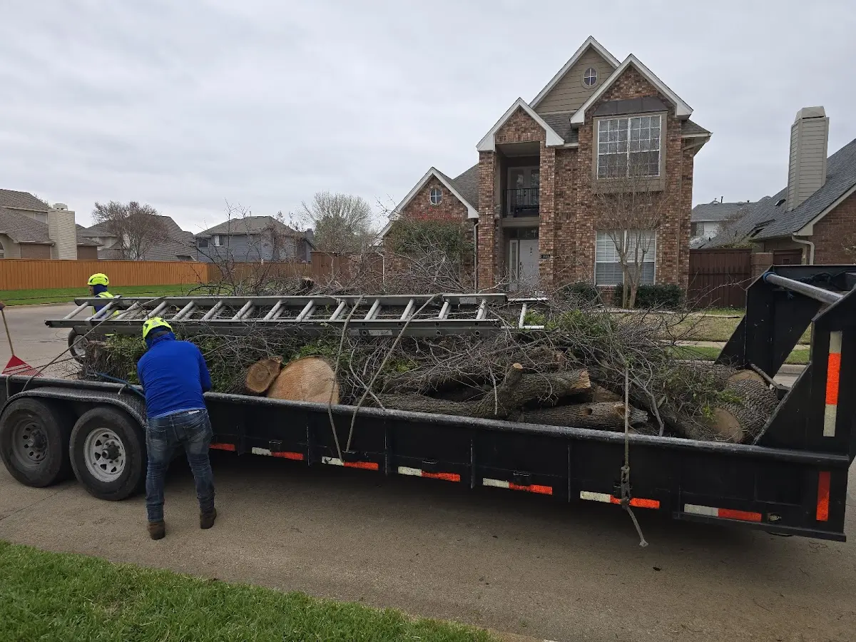 Expert Tree Fertilization with proper safety equipment in Gibbonsville